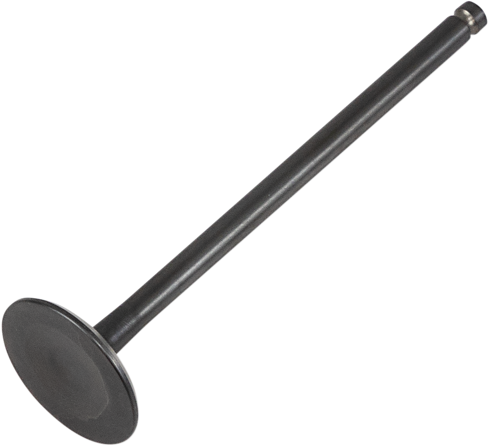 Exhaust Valve