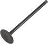 Exhaust Valve