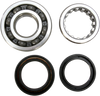 Crank Bearing and Seal Kit - Honda