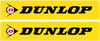 FX Swingarm Sticker - Dunlop - Yellow - Lutzka's Garage