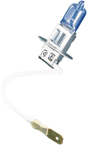 H3 Bulb - Super White - Lutzka's Garage