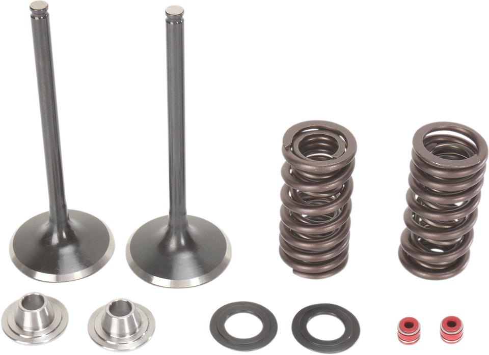 Intake Valve Kit
