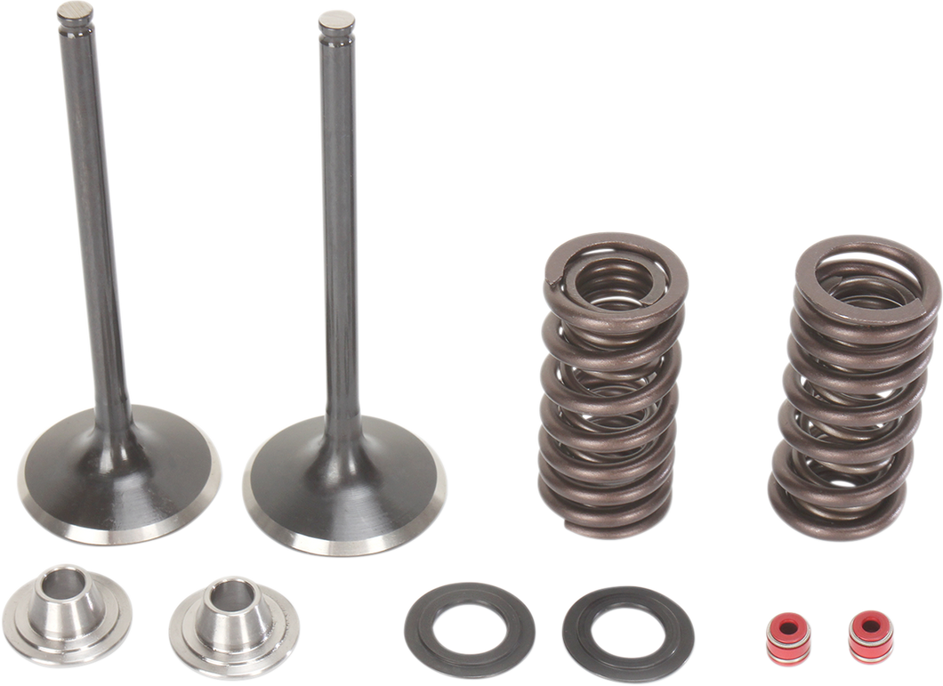 Intake Valve Kit