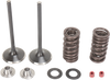 Intake Valve Kit