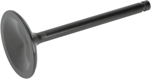 Intake Valve - Evolution