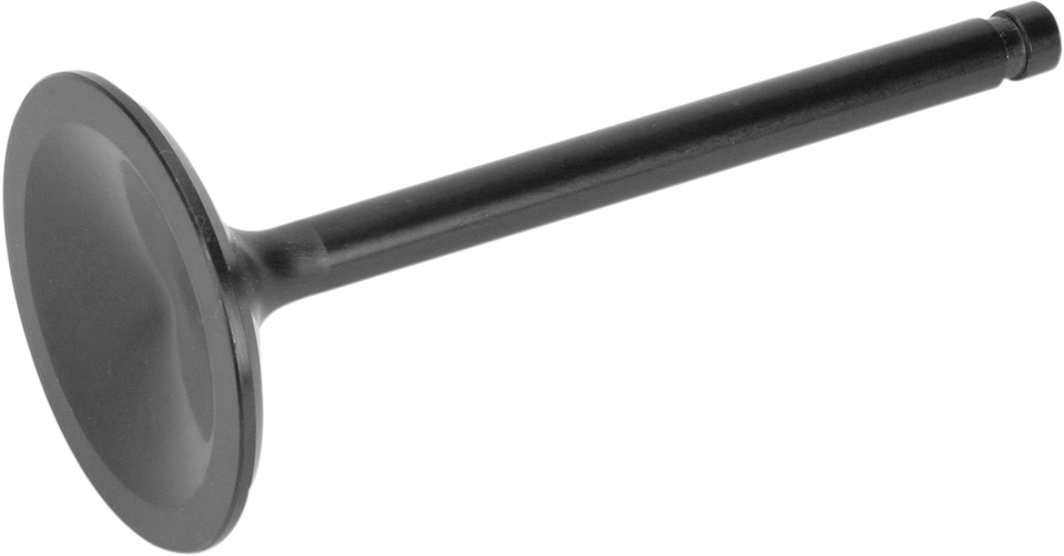 Intake Valve - Evolution
