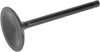 Intake Valve - Evolution