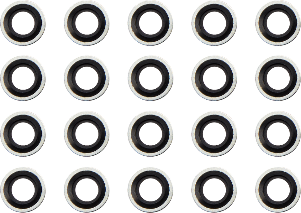 Primary Cover Seal - Big Twin