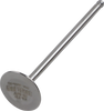 Outer Intake Valve
