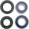 Wheel Bearing Kit - Front