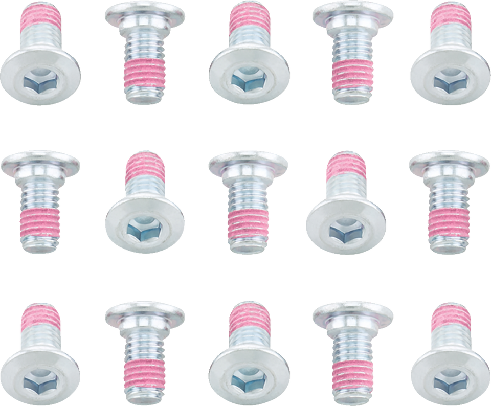 Bolt - Rotor - 15 Pack - KLR650