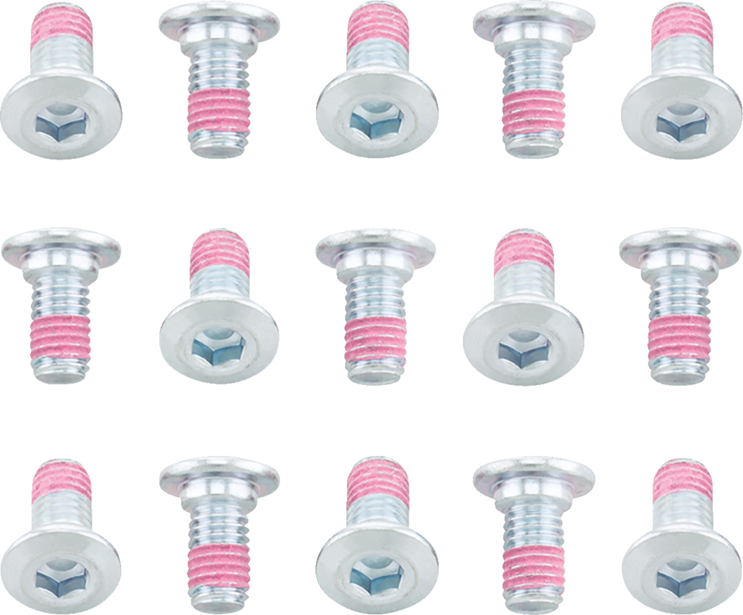 Bolt - Rotor - 15 Pack - KLR650