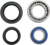 Wheel Bearing Kit - Rear