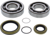 Crank Bearings and Seals - Gas Gas
