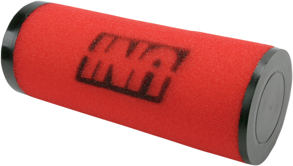 Air Filter - Polaris