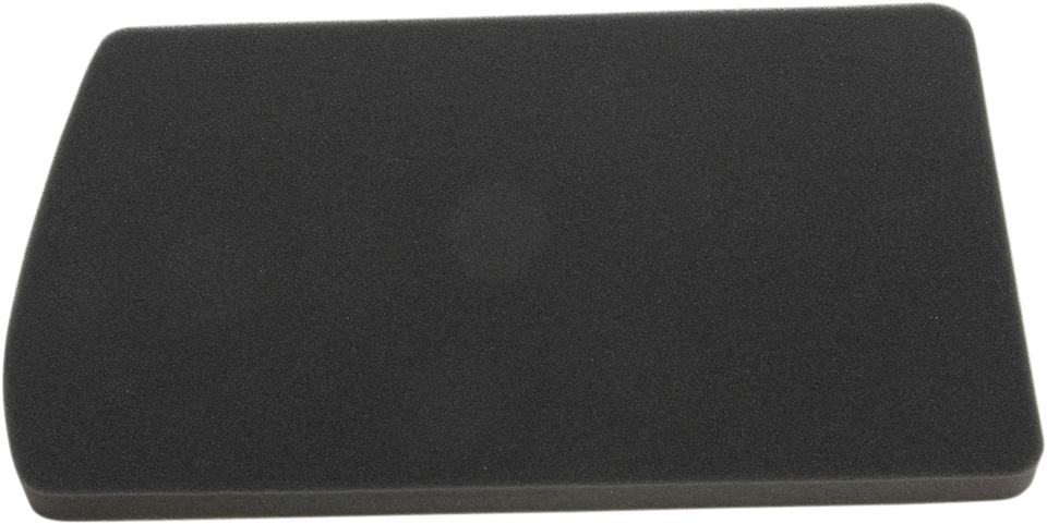 Replacement Air Filter - BMW