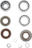 Differential Bearing/Seal Kit - Polaris - Rear