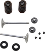 Exhaust Valve Kit