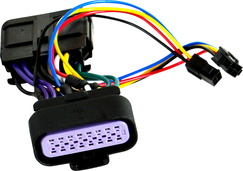 Wire Harness - Spyder