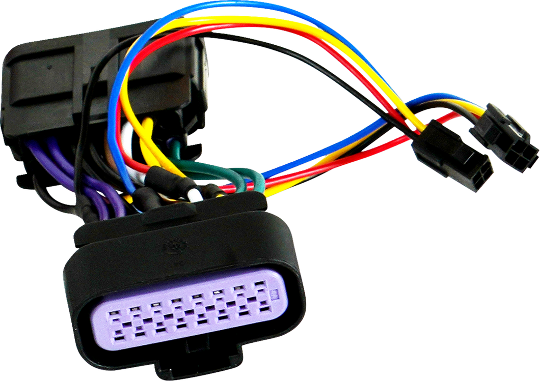 Wire Harness - Spyder