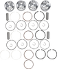 Piston Kit