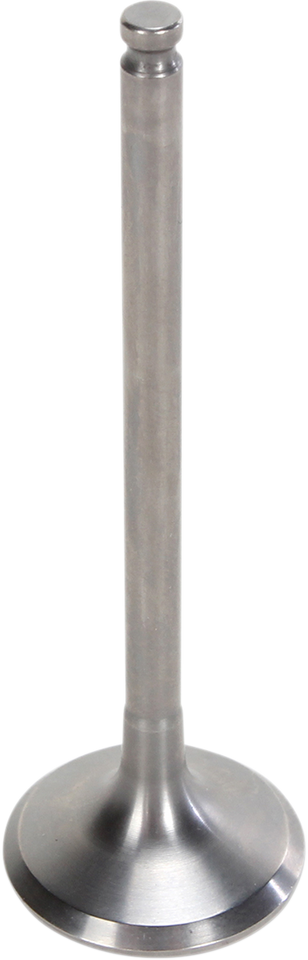 Exhaust Valve - Yamaha