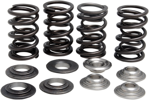 Valve Spring Kit