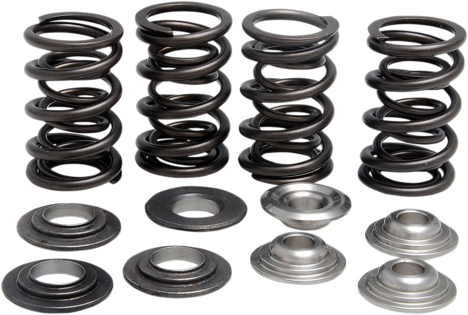 Valve Spring Kit