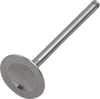 Exhaust Valve