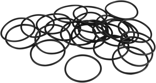 Starter Housing O-Ring - XL - Lutzka's Garage