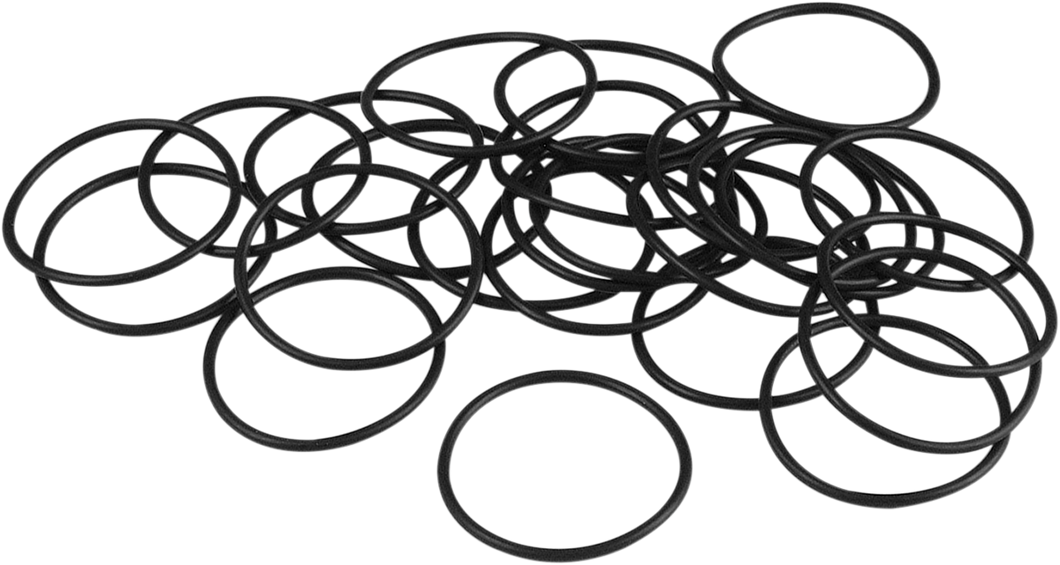 Starter Housing O-Ring - XL - Lutzka's Garage