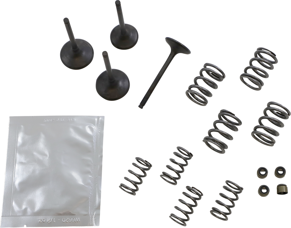 Valve Kit