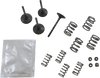 Valve Kit