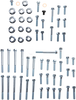 Engine Fastener Kit - Kawasaki KW