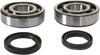 Crank Bearing and Seal Kit - Suzuki
