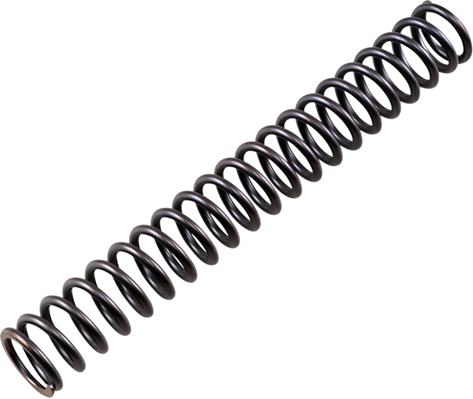 Road and Track Front Fork Cartridge Kit - 30 mm - 0.92 kg/mm