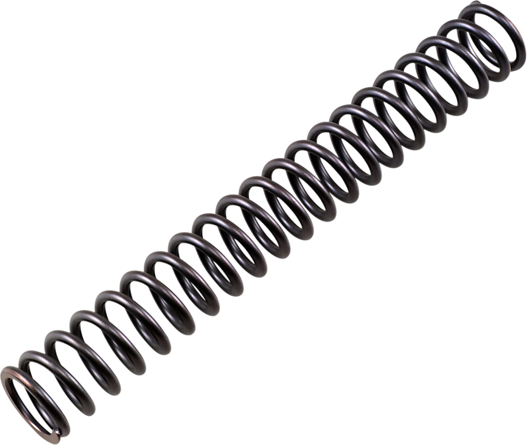 Road and Track Front Fork Cartridge Kit - 30 mm - 0.82 kg/mm