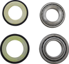 Steering Stem Bearing Kit