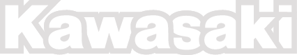 Fork/Swingarm Decal - Kawasaki - White - Lutzka's Garage