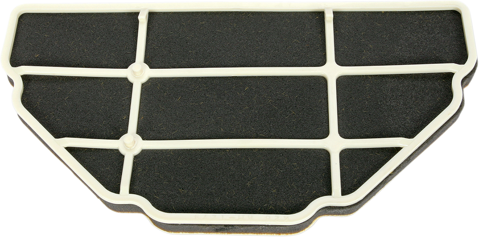 Air Filter - Kawasaki