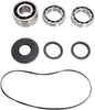 Differential Bearing/Seal Kit - Front - Polaris