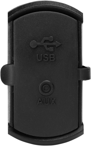 Dash-Mounted USB charge port with 3.5 mm Audio Input - Switch Port Mount