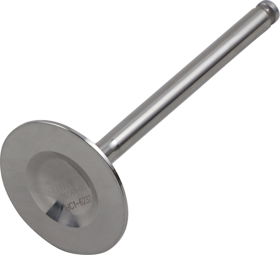 Exhaust Valve