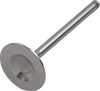 Exhaust Valve