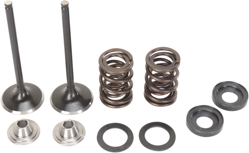 Intake Valve Kit