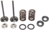 Valve and Spring Kit