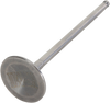 Intake Valve - Yamaha