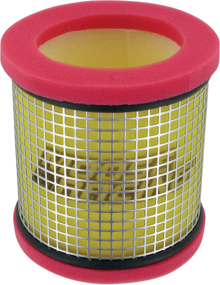 Air Filter - Polaris