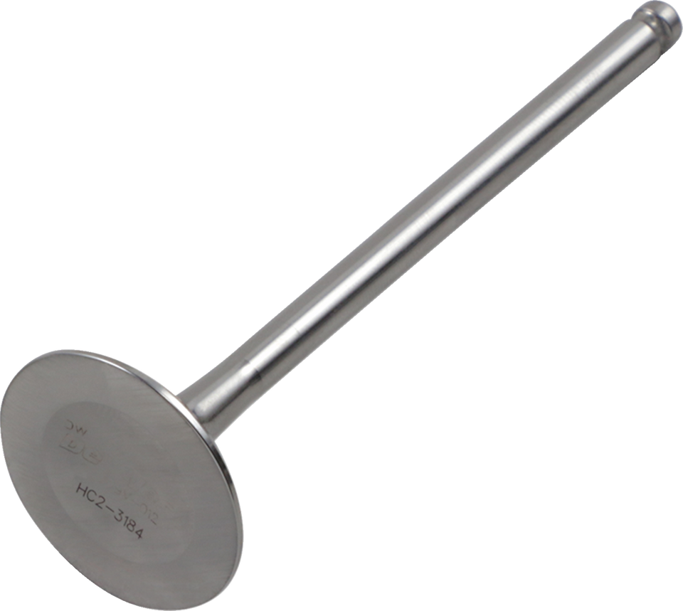 Exhaust Valve