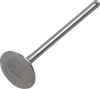 Exhaust Valve